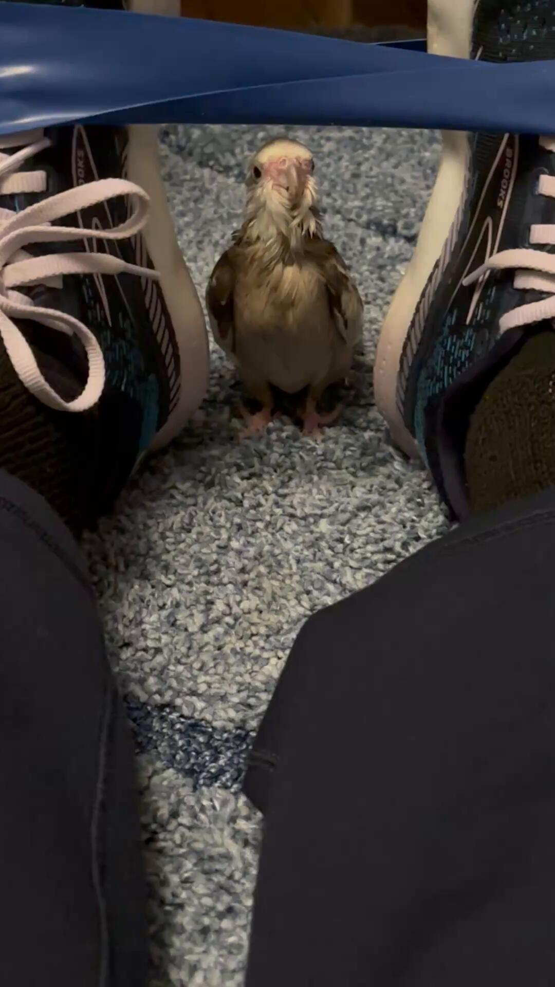 Video